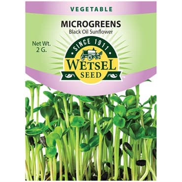 Microgreens, Black Oil Sunflower 2 Grams — photo 1 of 2