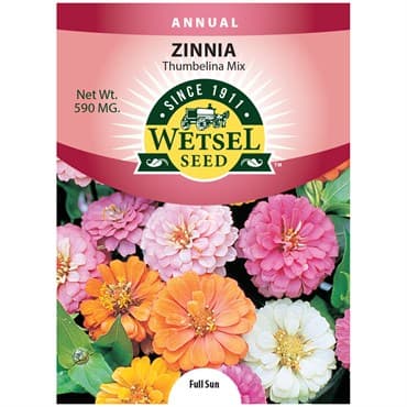 Zinnia, Thumbelina 590mg — photo 1 of 2