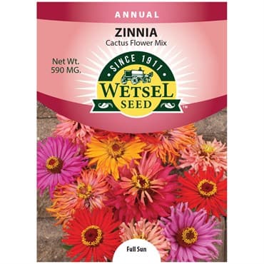 Zinnia, Cactus Flower Mix 590mg — photo 1 of 2
