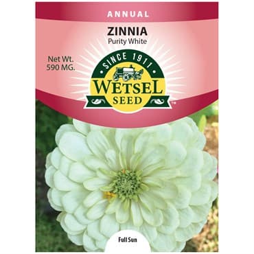 Zinnia, Purity White 590mg — photo 1 of 2