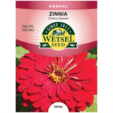 Zinnia, Cherry Queen 590mg — photo 1 of 2