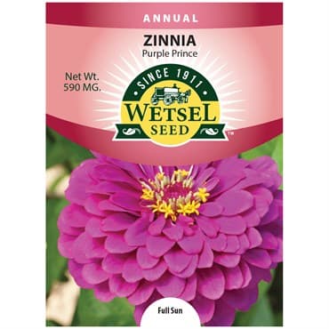 Zinnia, Purple Prince 590mg — photo 1 of 2