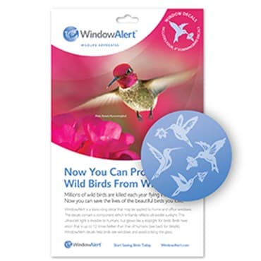 WindowAlert Hummingbird UV-Reflective Anti-Collision Bird Deterrent Window Decal — photo 1 of 2