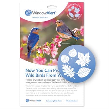 WindowAlert Leaf Medley UV-Reflective Anti-Collision Bird Deterrent Window Decal — photo 1 of 2