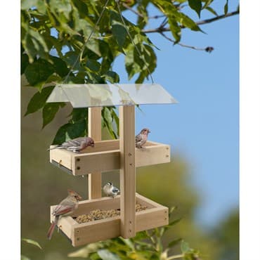 Woodlink Double Platform Seed Feeder Western Cedar — photo 1 of 2