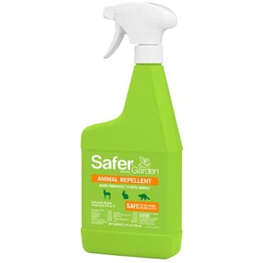 Safer Garden 24oz Animal Repellent RTU — photo 1 of 2