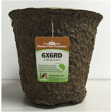 Western Pulp 6x6 Round Retail Container w/UPC, 2.48qt, 24/CS — photo 1 of 2