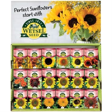 Wetsel 200PKT Sunflower Counter Display — photo 1 of 2