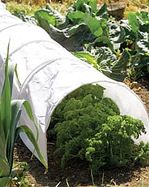 WSP 10'x1'6" Polythene Grow Tunnel — photo 1 of 2