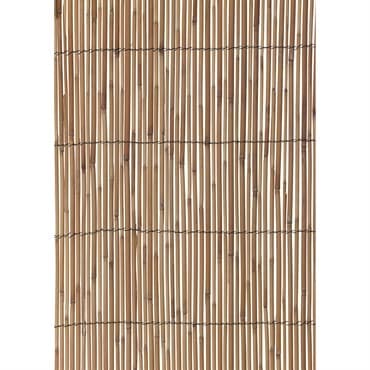 WSP HG 13'x6'6" Reed Fencing — photo 1 of 2
