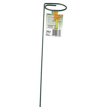 WSP 40" Blossom Support 3" Loop — photo 1 of 2