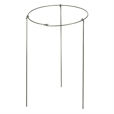 WSP 16" Plant Support Ring 3x24" Legs — photo 1 of 2