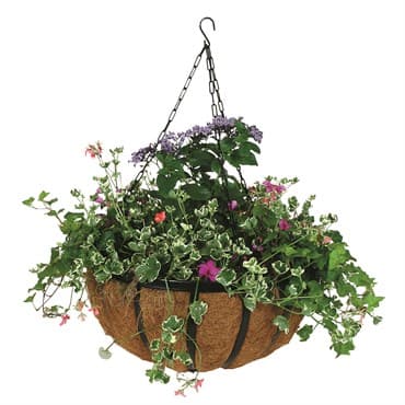 WSP 14" Forge Hanging Basket With Coco Liner — photo 1 of 2