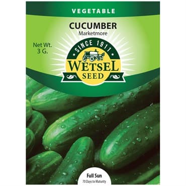 Cucumber, Marketmore 3 Grams — photo 1 of 2