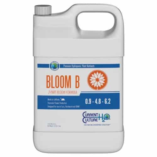 Cultured Solutions Bloom B Quart